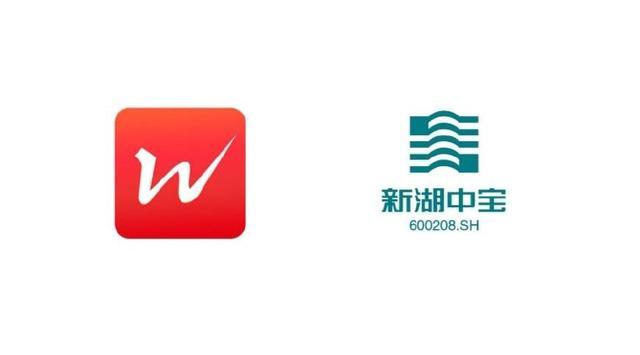 新湖中宝股份有限公司-新湖中宝股份有限公司官网