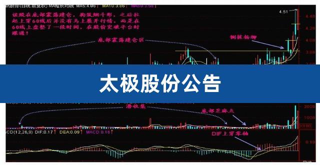 太极股份-太极股份股吧