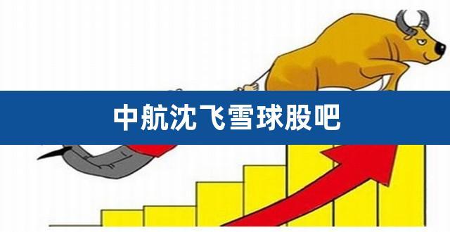 中航沈飞-中航沈飞股票股吧