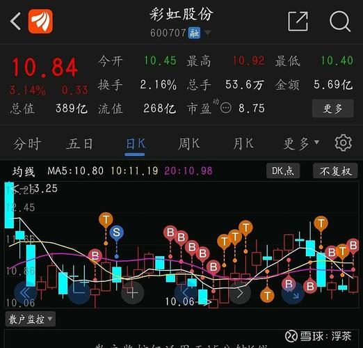 600707彩虹股份-600707彩虹股份股票行情