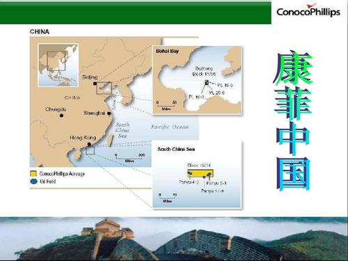 康菲公司-康菲公司案例分析