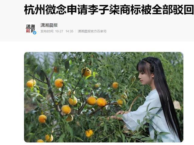 杭州微念再次起诉李子柒公司-杭州微念公司怎么捧红李子柒的