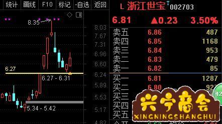 浙江世宝-浙江世宝股票股吧最新消息