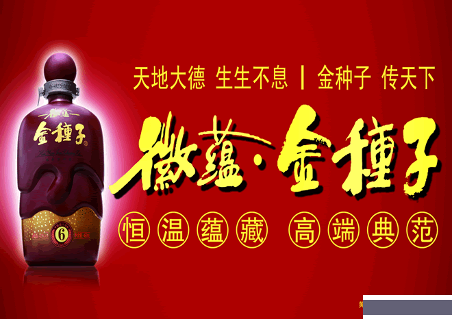 金种子酒业-金种子酒业有限公司