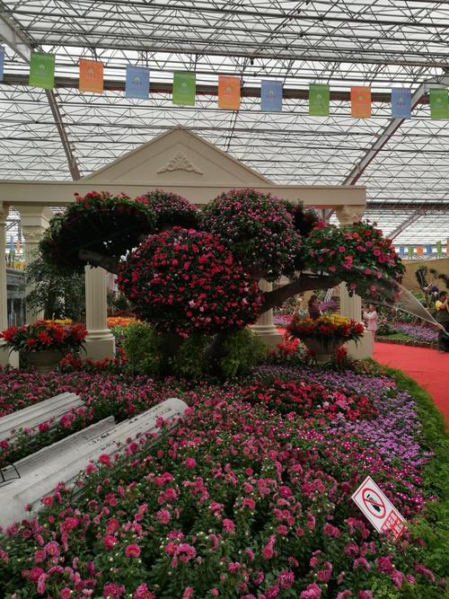 青州花博会-青州花博会时间2023年
