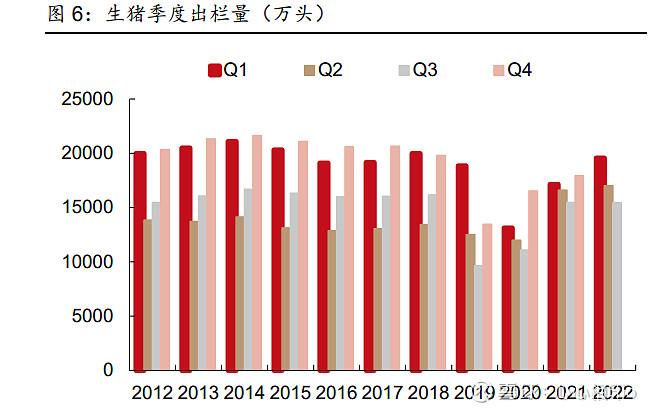 商品猪-商品猪几个月出栏