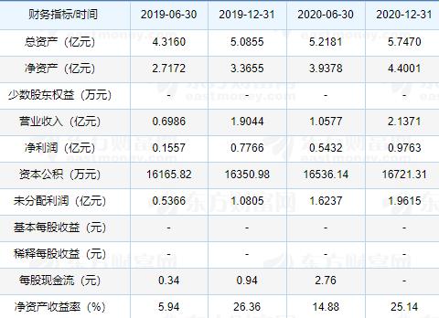 300965-300965股票