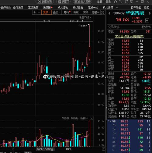 300462-300462华铭智能股票
