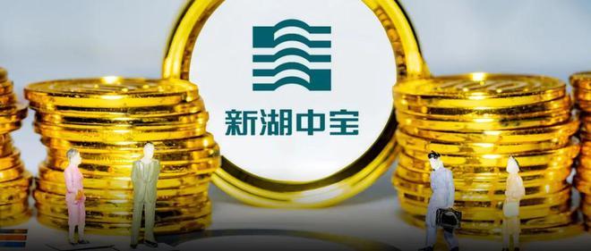 新湖中宝-新湖中宝公司简介