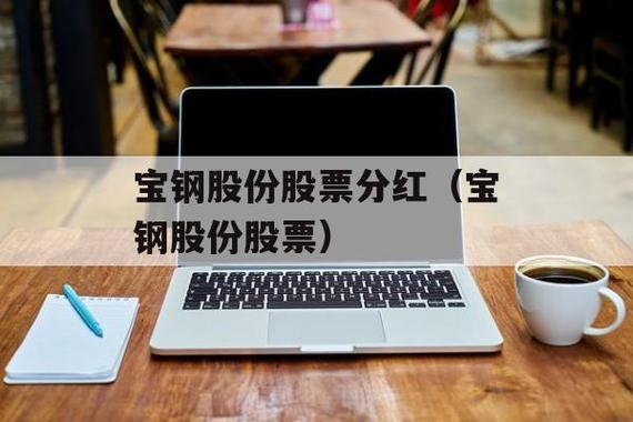 宝钢股份股票-宝钢股份股票分红
