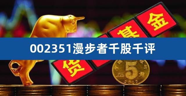 300729-300729千股千评