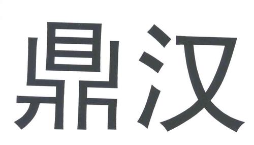 鼎汉技术-鼎汉技术公司简介