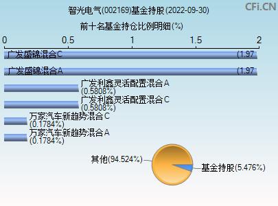 智光电气股票-智光电气股票千股千评