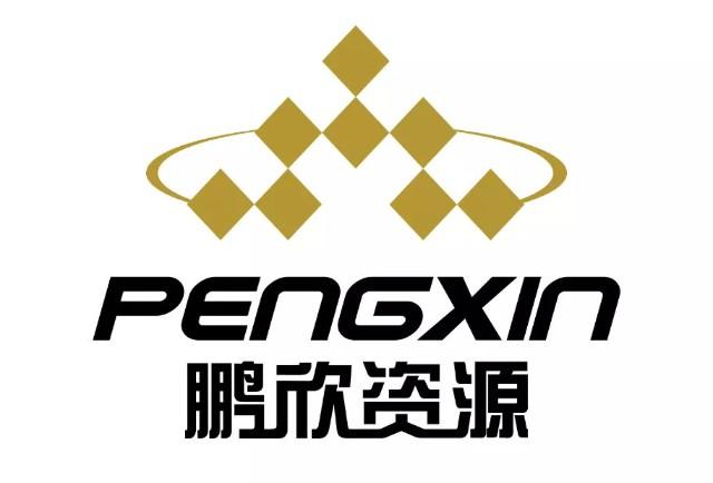 鹏欣资源-鹏欣资源公司简介