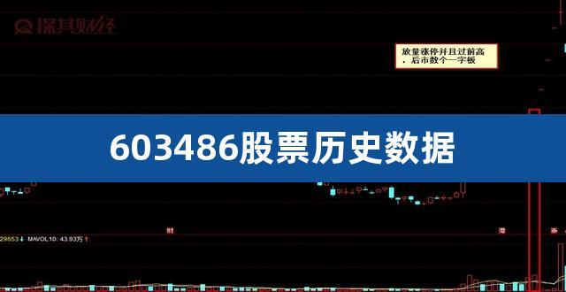 603486-603486的股价