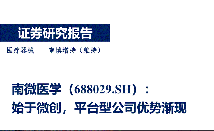 688029-688029南微医学