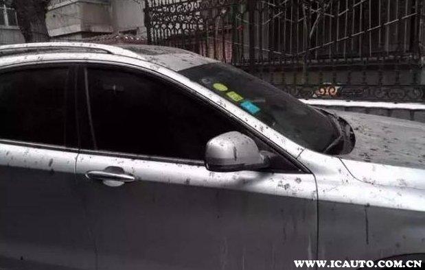 黑色汽车为什么没黄点（白色汽车为什么有黄点）